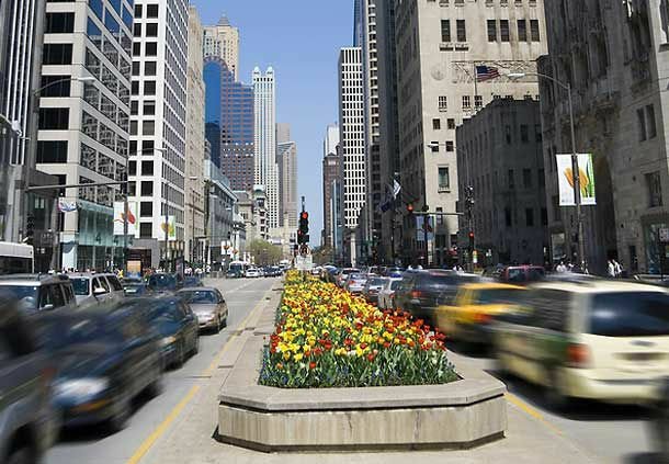 Courtyard Chicago St. Charles Hotell Saint Charles Exteriör bild